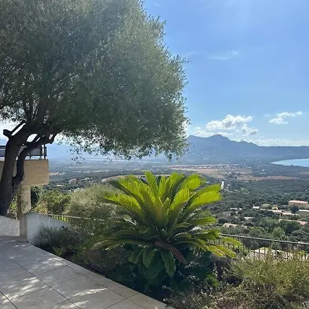 Villa A Hilltop Haven In - Sea View And Cascading Terraces Lumio (Corsica)